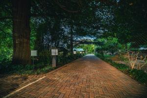 Gambar di galeri bagi Titanic View - Place of Peace di Clarens