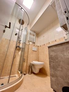 La salle de bains est pourvue de toilettes et d'une cabine de douche en verre. dans l'établissement Dekster apartmani, à Valjevo