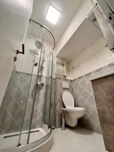 La salle de bains est pourvue d'une douche et de toilettes. dans l'établissement Dekster apartmani, à Valjevo