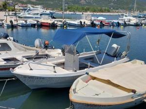 a white boat with a blue canopy in a harbor at Waterfront Spitaki Nea Iraklitsa in Iraklitsa