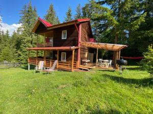 a log cabin with a grill in the yard at Cosy wooden house in the heart of Apuseni. in Beliş