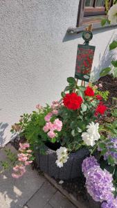 a planter of flowers in front of a house at Hotel 24 in Bilstein