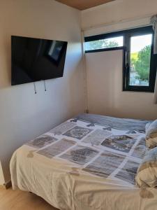 een slaapkamer met een bed en een flatscreen-tv bij Superbe Appartement Avec Magnifique Vue sur La mer in Saint-Cyprien