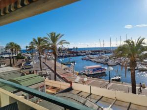 een jachthaven met boten in het water en palmbomen bij Superbe Appartement Avec Magnifique Vue sur La mer in Saint-Cyprien