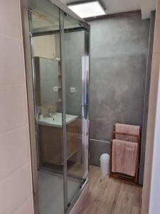 a bathroom with a glass shower and a sink at Superbe Appartement Avec Magnifique Vue sur La mer in Saint-Cyprien