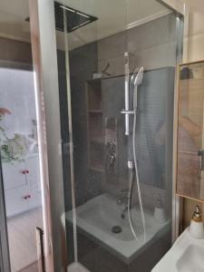 een badkamer met een douche en een wastafel bij Superbe Appartement Avec Magnifique Vue sur La mer in Saint-Cyprien