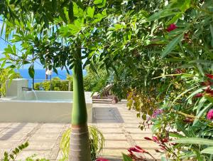 Ogród w obiekcie Casa Badana, Exclusiva Casa Privada con Piscina y Vistas al Mar