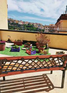 B&B GIOIA في كاتانزارو: طاولة على شرفة مع النباتات والورود