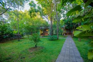 Zahrada ubytování Sigiri Asna Nature Resort