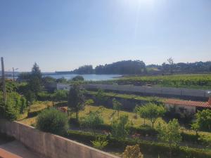 a view of a garden with a river in the background at Nueva vista in Pontevedra