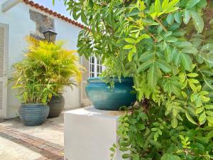 Ogród w obiekcie Casa Badana, Exclusiva Casa Privada con Piscina y Vistas al Mar