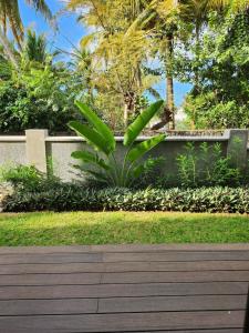 格蘭貝伊的住宿－Soleia 3 in Mauritius，围栏旁花园中的绿色植物