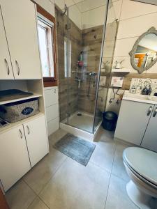 a bathroom with a shower and a toilet at Cesemino Farmhouse 
