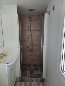 a bathroom with a shower and a sink at Villa Renata in Pirovac +16 photos