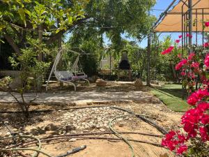 a garden with a swing and pink flowers at Desert Sunrise Arad in Arad