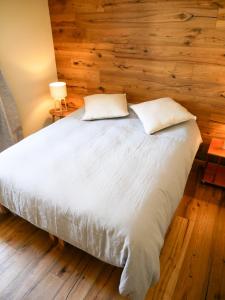 Una cama blanca con dos almohadas encima. en Nuovo Appartamento moderno a Cogne, en Cogne