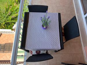 a table with a potted plant on top of it at Apartmani Roje Sveti Filip I Jakov in Sveti Filip i Jakov