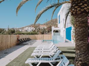 a row of white lounge chairs next to a palm tree at Hostal Las Gaviotas del Cabo in San José
