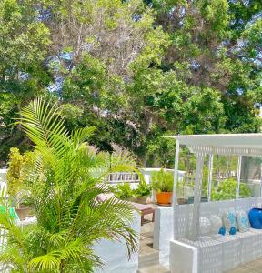 um pátio com um gazebo branco e palmeiras em Casa Costera Fragata em San Andrés