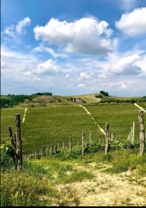 une clôture au milieu d'un champ vert dans l'établissement Le calendule,relax home & wine, à Strevi