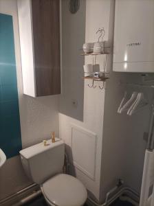 uma casa de banho com um WC branco e um armário em Studio Morillon Village em Morillon