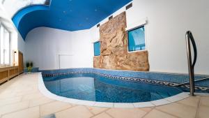 Bazén v ubytování Hotel Richard Spa & Wellness nebo v jeho okolí