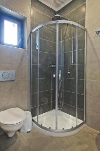 a shower stall in a bathroom with a toilet at Michaliou Kipos Luxury Villas in Afiartis