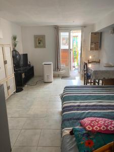 a living room with two beds and a table and a television at Studio au calme à la campagne 10mn centre ville in Béziers