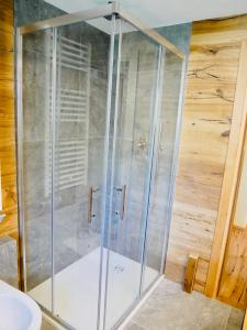 y baño con ducha y puerta de cristal. en Nuovo Appartamento moderno a Cogne, en Cogne