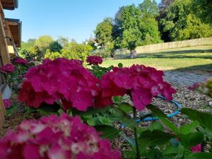 Κήπος έξω από το Les Cottages du Chateau de Werde +68 φωτογραφίες