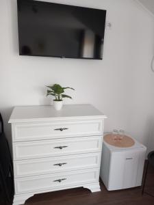 a white dresser with a potted plant on top of it at Casa Ambientt in Albestii de Arges