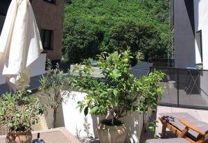 een patio met een tafel, een parasol en planten bij monas home mayrhofen in Mayrhofen