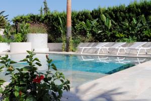卡爾佩的住宿－Boutique Hotel Lapicida，一个带躺椅的游泳池,并种植了棕榈树