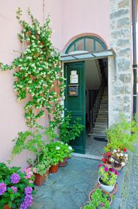 uma porta verde num edifício com plantas e flores em La Piazza - appartamento em Piana Battolla