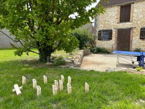 La Gravonne, une parenthèse turroise في Turny: مجموعة من علامات العظم في العشب في الفناء