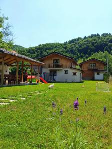 un patio con una casa y un campo con flores púrpuras en Guest House Carpathia, en Vişeu de Sus