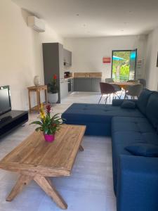 a living room with a blue couch and a table at Le petit prince in Balaruc-les-Bains