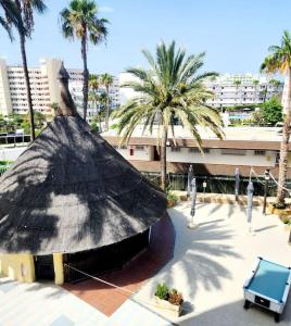un edificio di paglia con palme di fronte a un edificio di Encanto Studio a Playa del Ingles