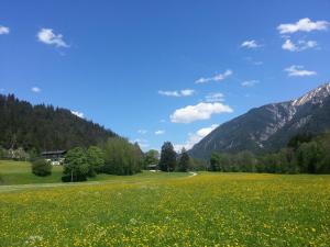 Paesaggio naturale nelle vicinanze dell'appartamento