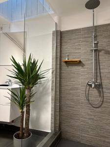 a bathroom with a shower with a plant in it at Turqoise Central Apartaments in Bucharest