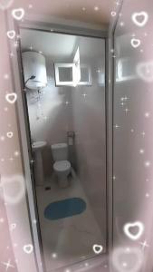 mała łazienka z toaletą i prysznicem w obiekcie gogia w mieście Ckaltubo