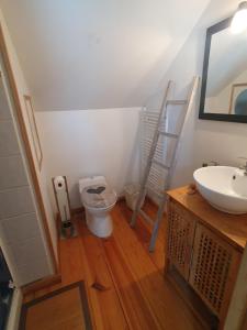 a bathroom with a sink and a toilet at Maison spacieuse in Auteuil
