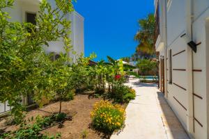 A garden outside Villa Asya 2