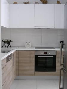 Kuchyňa alebo kuchynka v ubytovaní Momentum Apartment