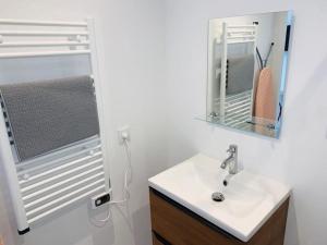 a bathroom with a sink and a mirror at Studio à 6 min à pied du centre in Albi