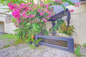 Zahrada ubytování Guest House Simalem