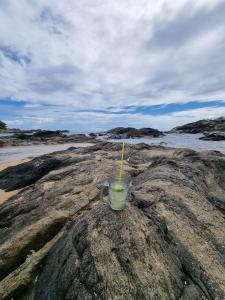 a cup with a straw sitting on top of a rock at Thalalla Ocean View in Dickwella