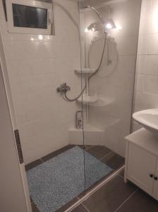 een douche met een glazen deur in de badkamer bij Frisch renovierte Wohnung in Hannover
