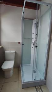 a bathroom with a shower and a toilet at Albergo Le Piante in Manerba del Garda