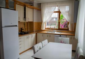 Kuchyň nebo kuchyňský kout v ubytování Akkas Apart